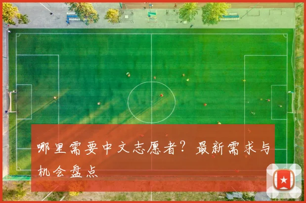 哪里需要中文志愿者?最新需求与机会盘点