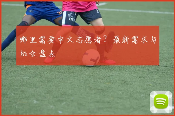 哪里需要中文志愿者?最新需求与机会盘点